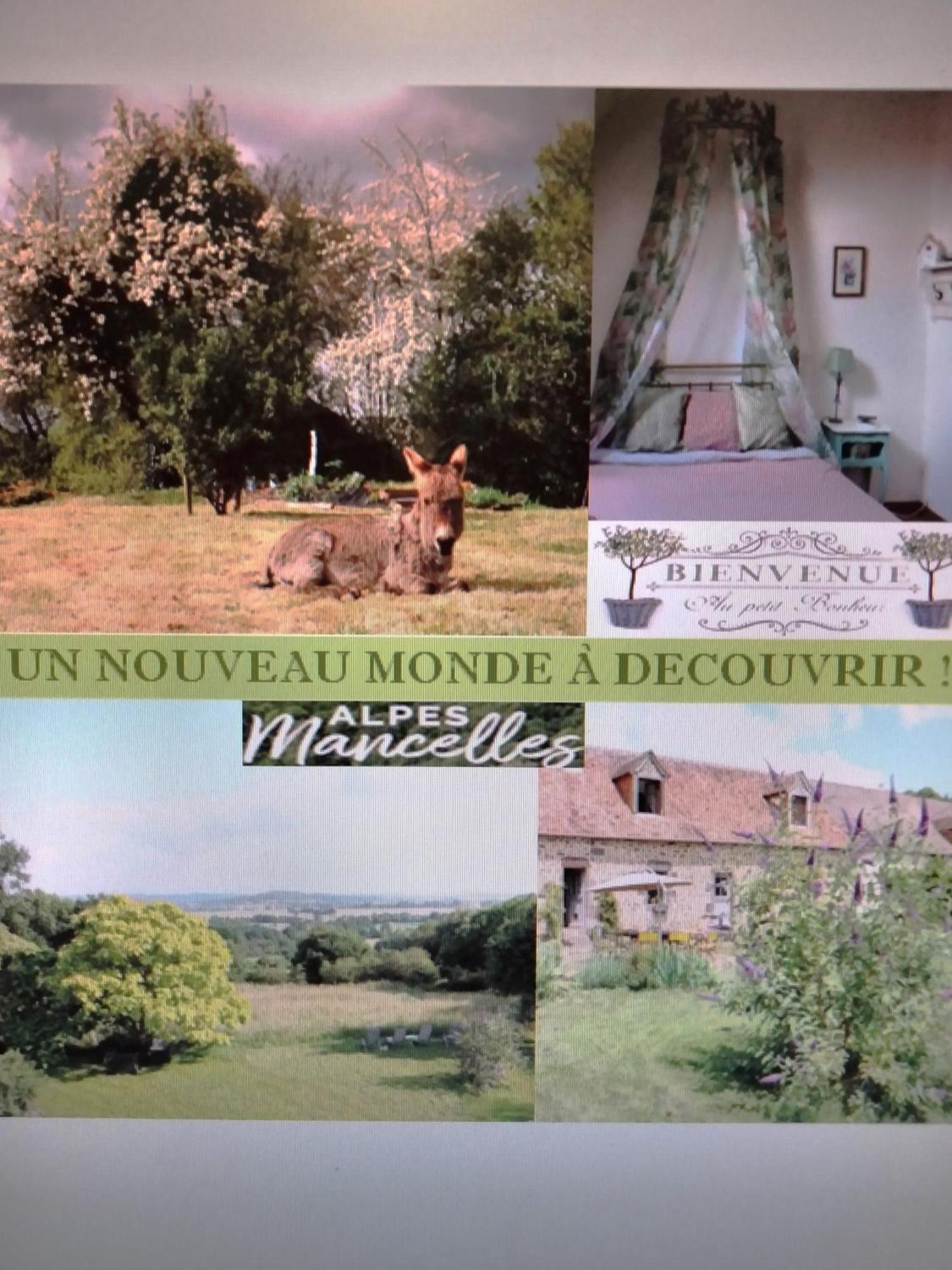 Le Clos Fleuri Segrie Exterior photo